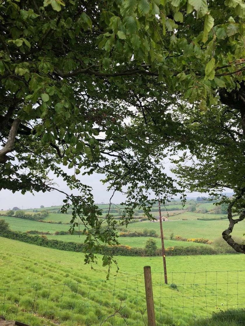 A lush green landscape with hedgerows zig zagging across the fields and a small white house in the distance.