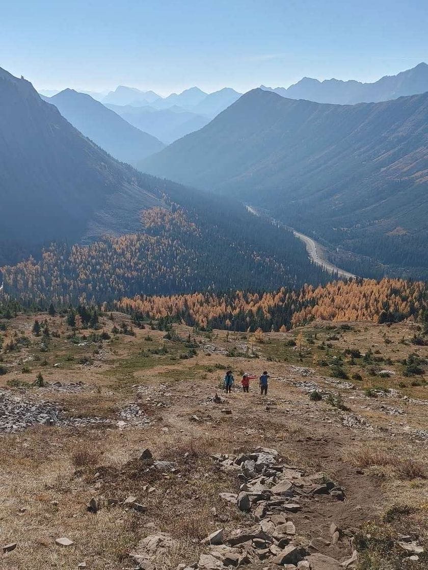 Three people walk in the foothills of the Canadian Rockies among brilliant gold and deep green trees. Steep mountain ranges are seen far off into the distance.