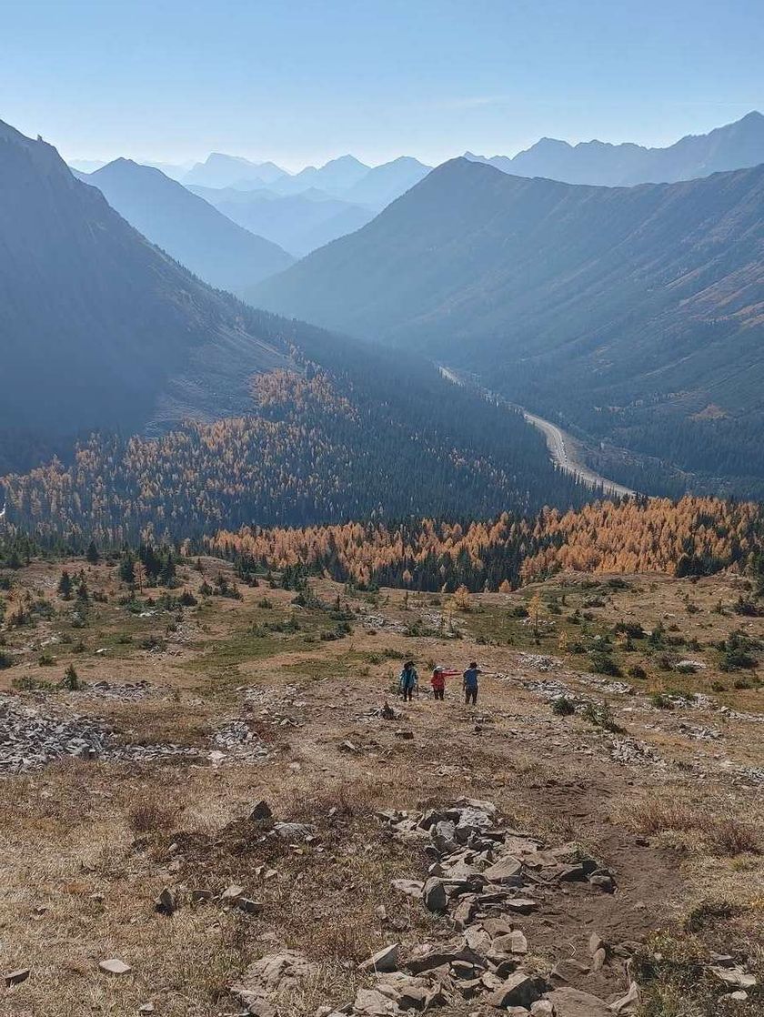 Three people walk in the foothills of the Canadian Rockies among brilliant gold and deep green trees. Steep mountain ranges are seen far off into the distance.