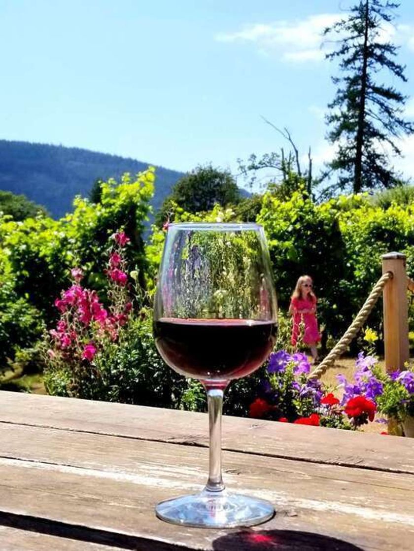 A glass of red wine sits on a wooden table outdoors in a garden lush with greenery and flowers. 