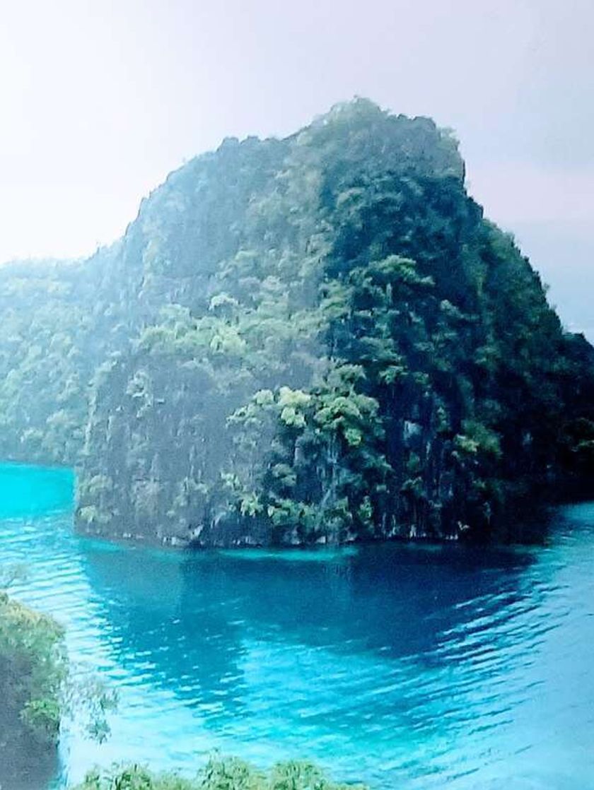 A forested limestone rocky spire in the middle of clear blue water.
